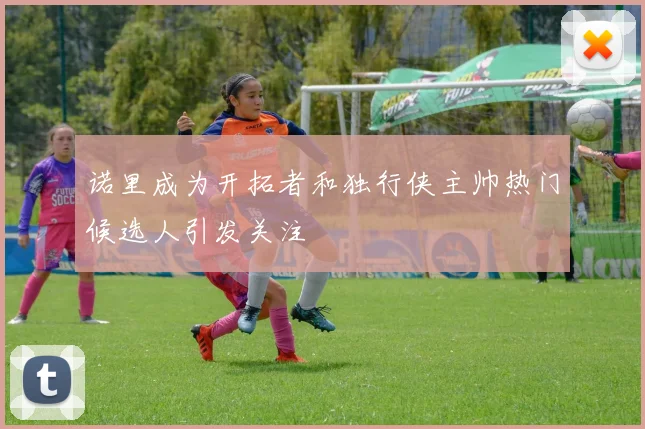 诺里成为开拓者和独行侠主帅热门候选人引发关注